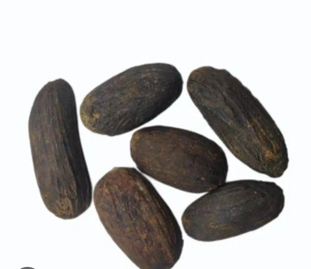 Long nut muge / wild nut muge