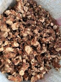 Galangal Root dried