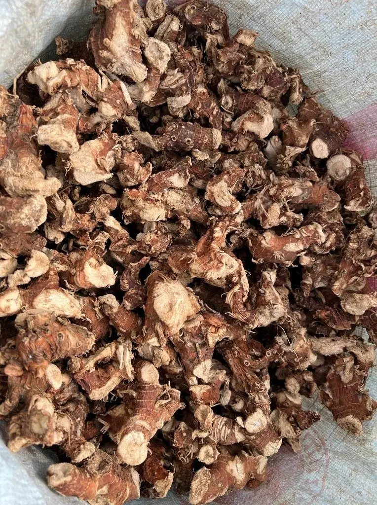 Galangal Root dried