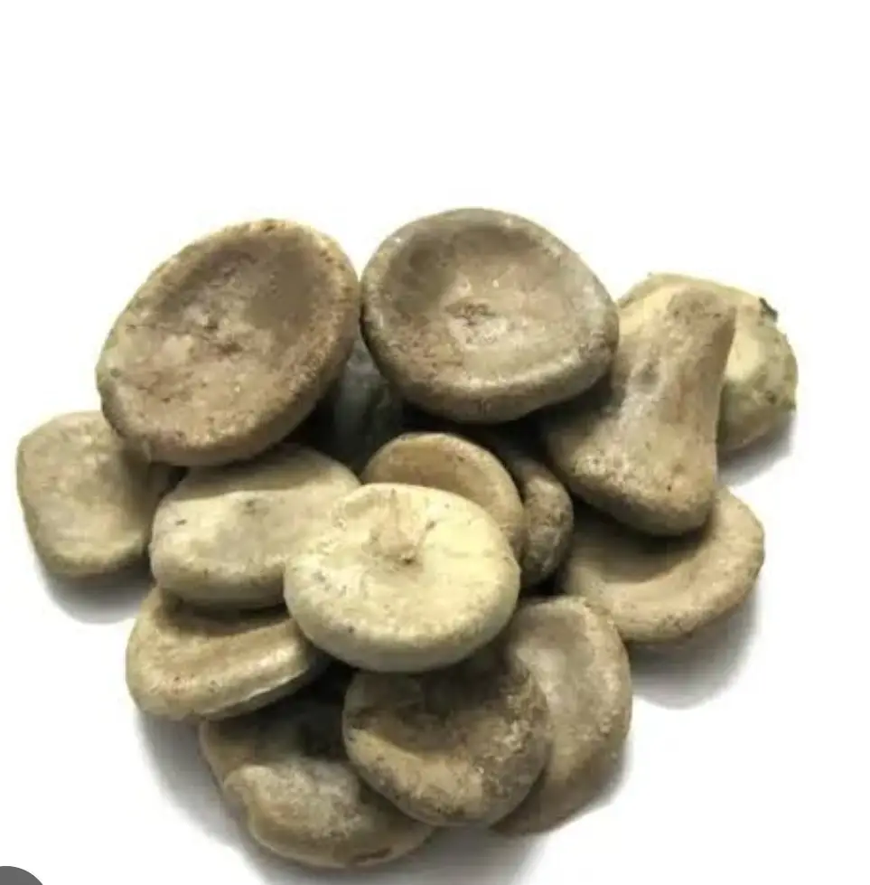 Nux Vomica Seed