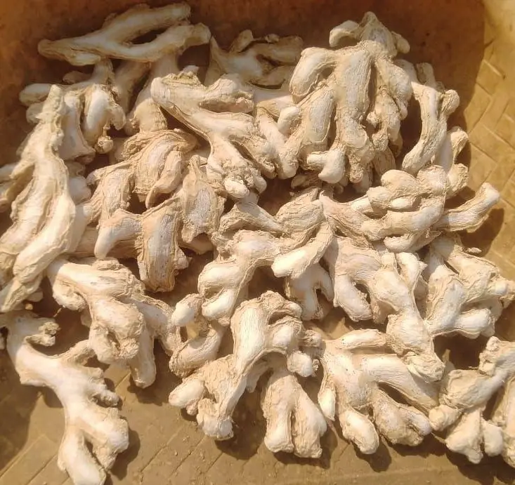 Dry Ginger