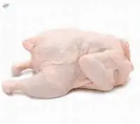 Frozen Chicken