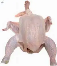 Frozen Organic Chicken Griller