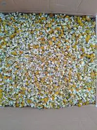 Egyptian Dried Chamomile Flowers