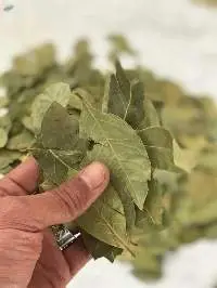 Egyptian Dried Bay Leaves (Laurel Leaves)