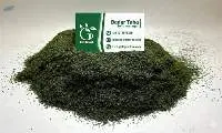 Egyptian Dried Dill Leaves