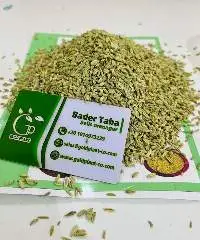 Egyptian Fennel Seeds (Organic / Conventional)