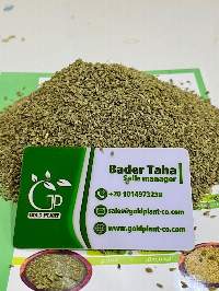 Egyptian Anise Seeds (Organic / Conventional)
