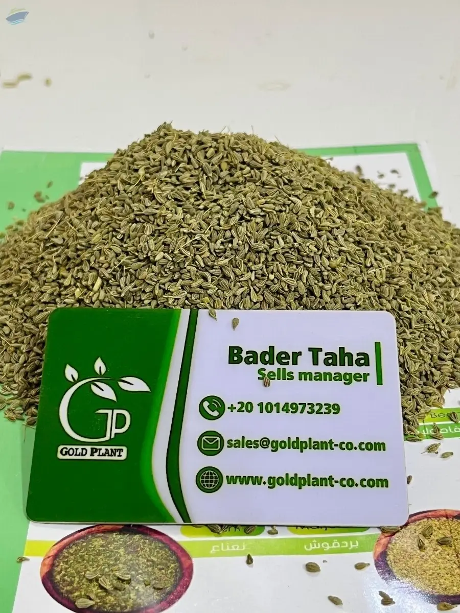 Egyptian Anise Seeds (Organic / Conventional)