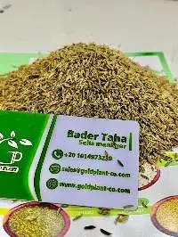 Egyptian Caraway Seeds (Organic / Conventional)