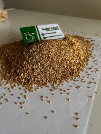 Egyptian Red Sesame Seeds
