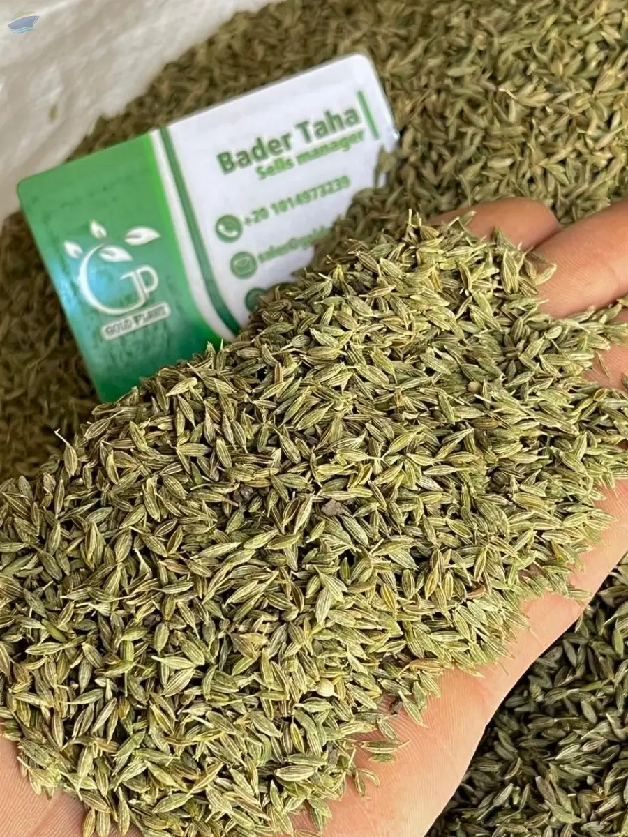Egyptian Cumin Seeds (Organic / Conventional)