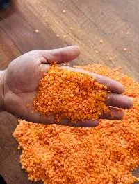 Egyptian Red Lentils (Masoor Dal)