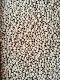 Russian Chickpeas (7mm)
