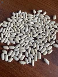 Egyptian White Beans
