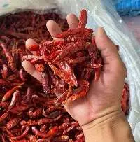 Dried Red Hot Chili Peppers (Whole Pods)