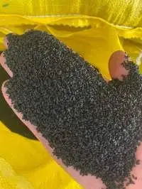 Premium Natural Black Seeds (Nigella Sativa)