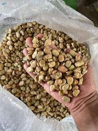 Premium Egyptian Broad Beans (Fava Beans)