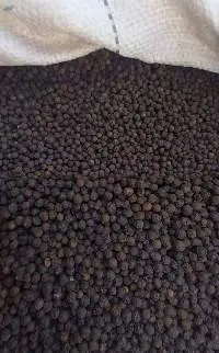 Premium Black Pepper Seeds (Whole)