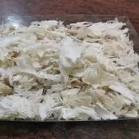 Bird Nest