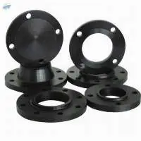 Carbon Steel Forged Flanges