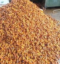 Fresh Turmeric 