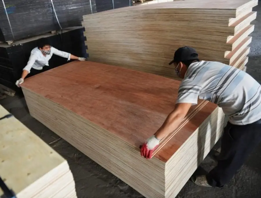 VietNam Commercial Plywood