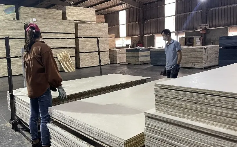 Birch Plywood