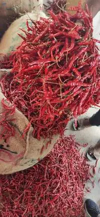 Red Chilli