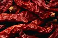 Premium Quality Indian Red Chilli Export