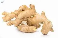 Premium Quality Indian Ginger Root Export