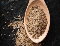 Premium Quality Indian Cumin Seeds Export