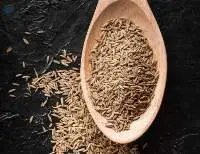Premium Quality Indian Cumin Seeds Export