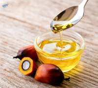 Premium Refined Palm Oil for Global Export