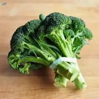 Premium Fresh Indian Broccoli for Export