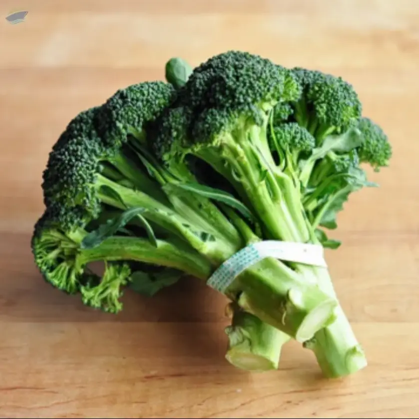 Premium Fresh Indian Broccoli for Export