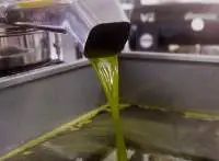 Avocado Oil