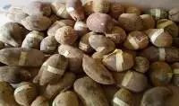 Baobab Oil