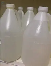 Bergamont oil