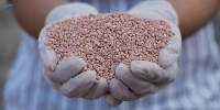 Export Grade Potash-Based Fertilizers