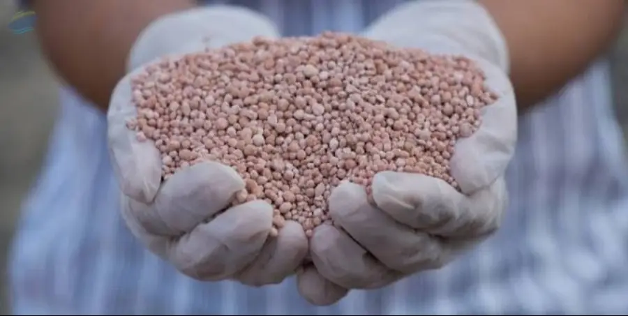 Export Grade Potash-Based Fertilizers