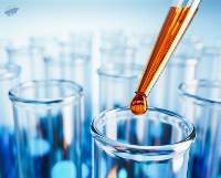 Industrial Base & Specialty Chemicals Export