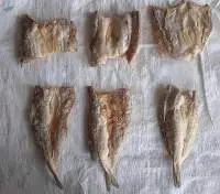 Dried Lizard Fish