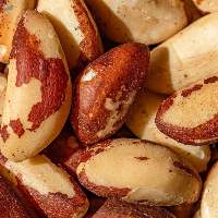 Premium Export Quality Brazilian Nuts