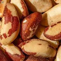 Premium Export Quality Brazilian Nuts