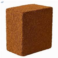 Premium Washed Low Ec Coco Peat 5kg Block