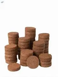 Coco Coin And Disc