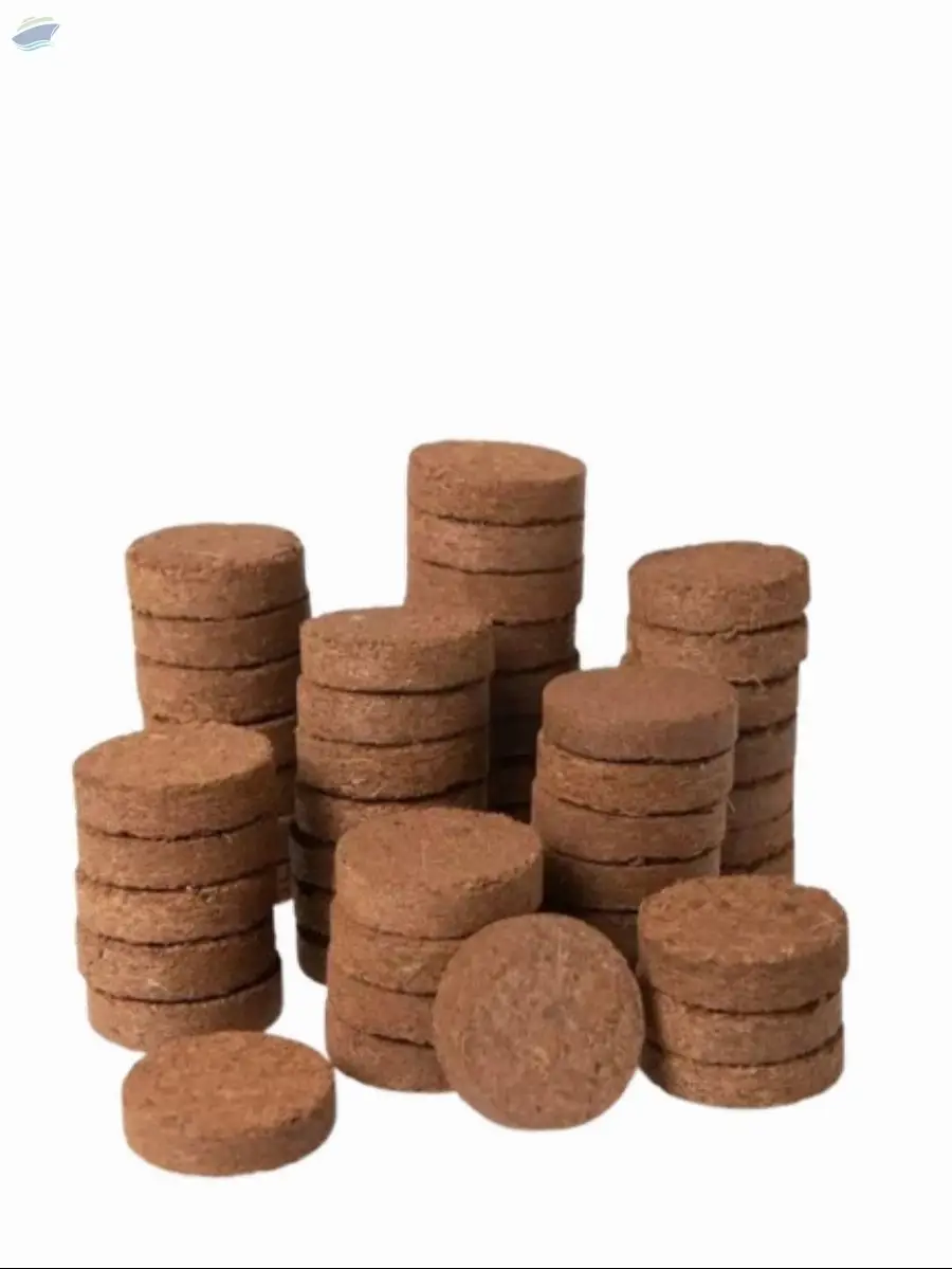 Coco Coin And Disc