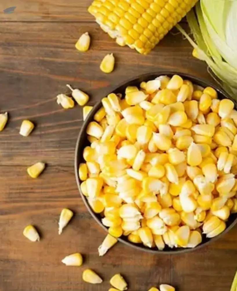 Corn & Maize