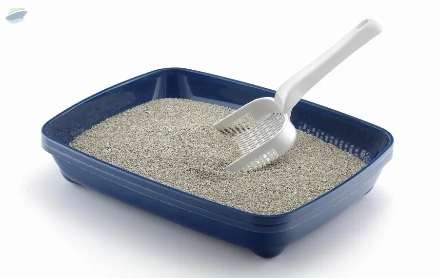Bentonite Granules For Litter